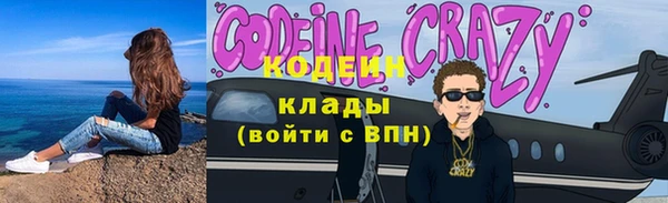 индика Вяземский