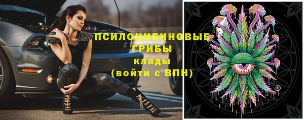 дмт Володарск