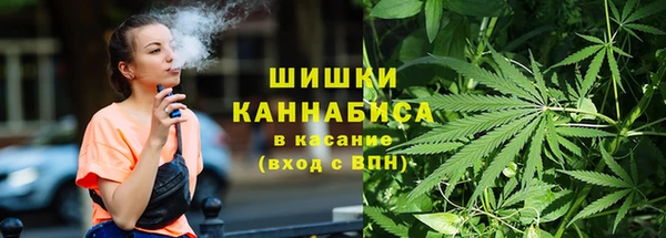 дмт Володарск