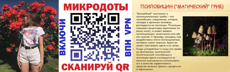 закладки  Горбатов  Галлюциногенные грибы GOLDEN TEACHER 